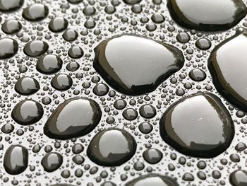 Full frame shot of water drops on table