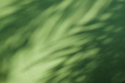 Full frame shot of abstract pattern on bed