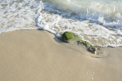 Waves game on stone in beach at tide time