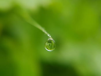 Close-up of water drop on grass