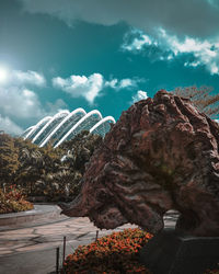 Low angle view of flowering plants by trees against sky