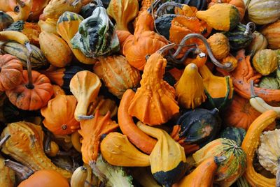Full frame shot of pumpkins at market stall