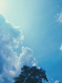 Low angle view of trees against blue sky