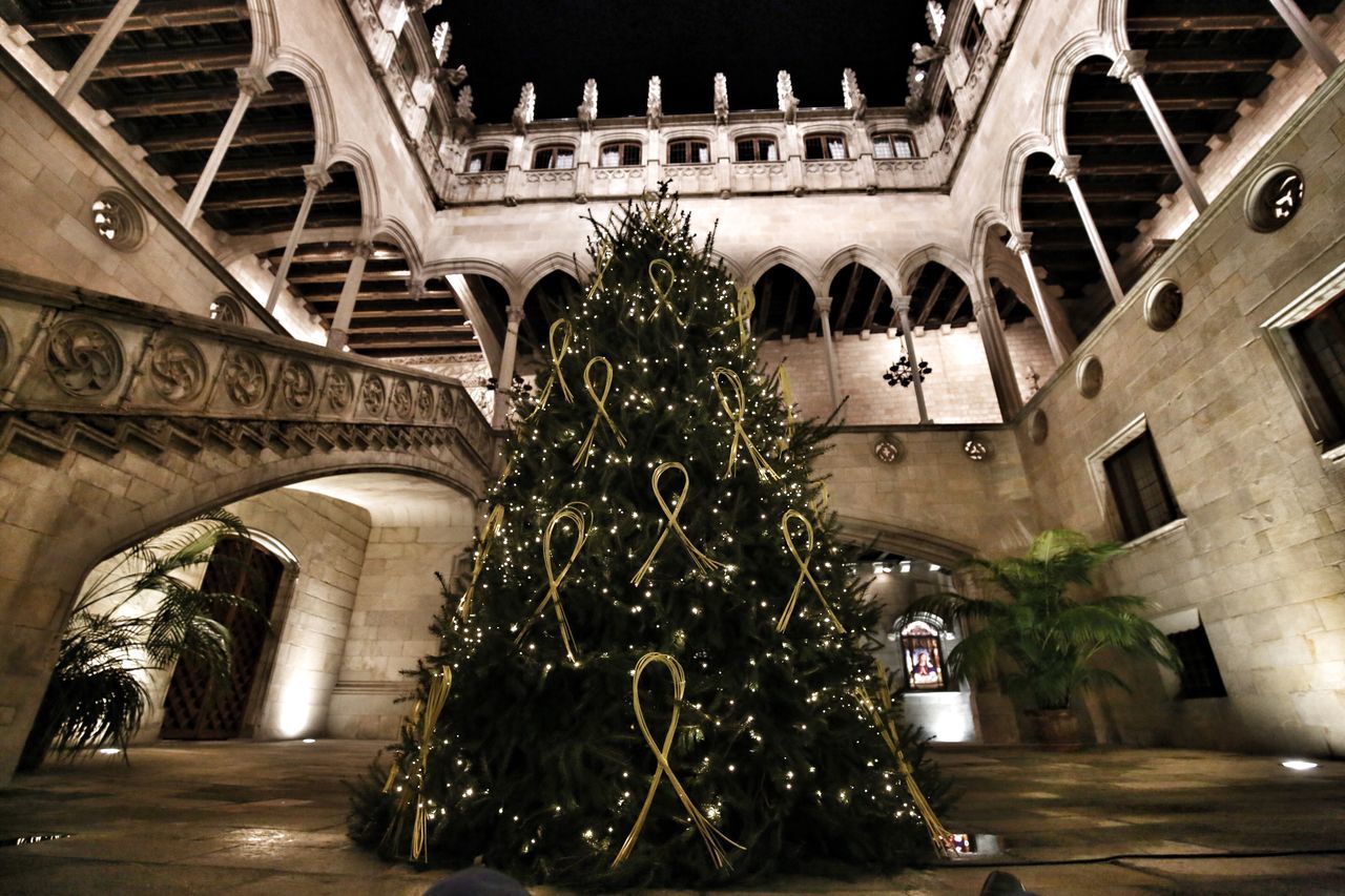 ILLUMINATED CHRISTMAS TREE AMIDST BUILDINGS AT NIGHT