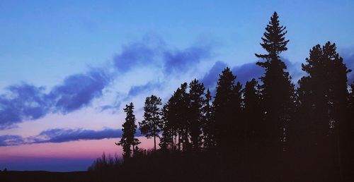 Low angle view of silhouette trees against sky at sunset