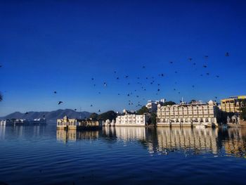 Birds flying over lake against blue sky