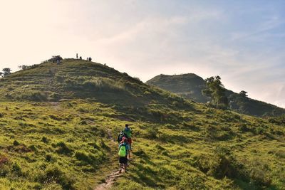 mountain