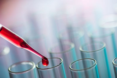 Close-up of test tubes at laboratory