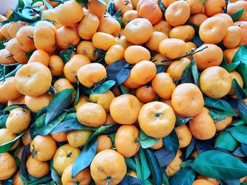 Full frame shot of fruits for sale at market stall