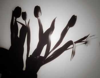 Close-up of silhouette hands against sky