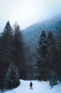 Trees on snow covered field during winter