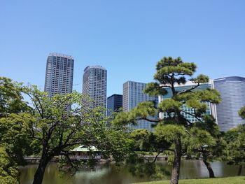 Trees and modern buildings against clear sky