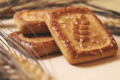 Close-up of dessert in plate