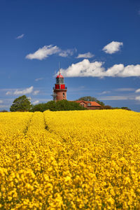 Scenic view of oilseed rape field against sky