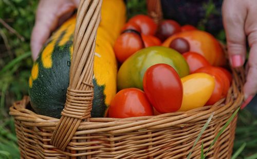 Close-up of vegetables in basket