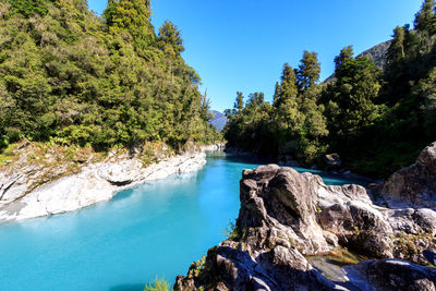 Scenic view of trees in forest against clear blue sky