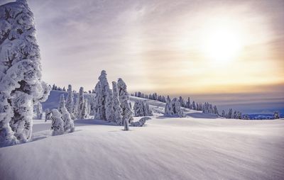 Scenic view of snow covered field against sky