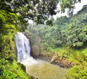 River flowing through rocks