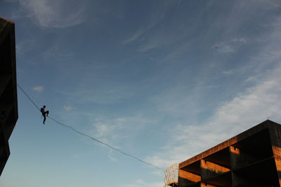 Low angle view of a bird