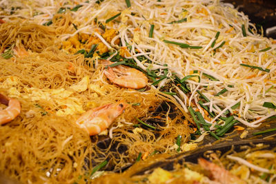 Close-up of crab on ground