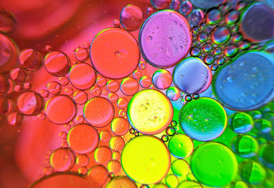 Colorful bubbles abstract background, oil bubbles in transparent liquid backdrop