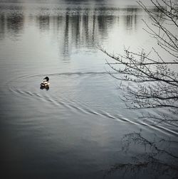 People on boat in lake