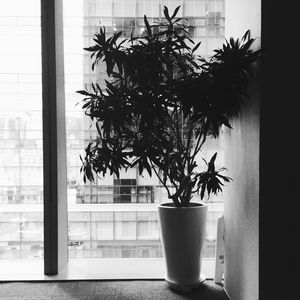 Built structure with trees in background