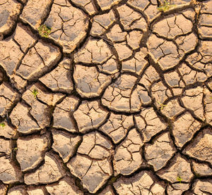 Full frame shot of cracked land