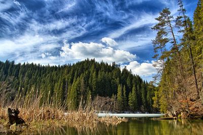 Scenic view of lake by trees against sky