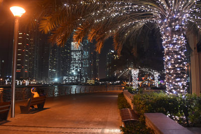 Illuminated christmas tree at night