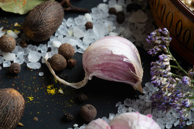 High angle view of shells on table