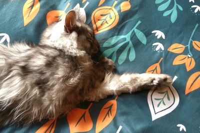 High angle view of dog sleeping on bed