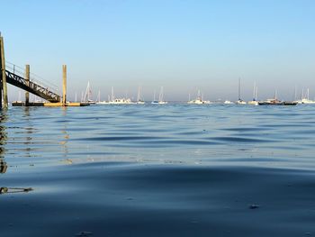 Sailboats in sea against clear sky