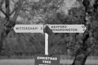 Close-up of road sign