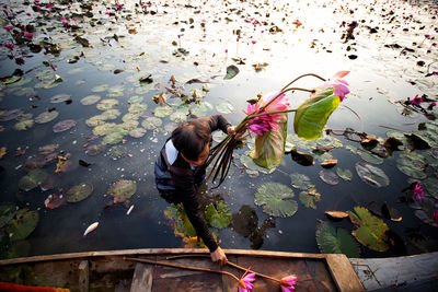 High angle view of man holding lotus water lily in lake