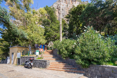 People on footpath in park