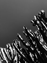 Low angle view of plant against sky