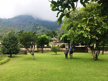 People playing on field against trees