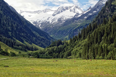 Scenic view of mountains against sky