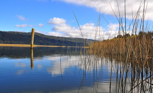 Reflection of clouds in lake