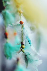 Close-up of dreamcatcher hanging at home