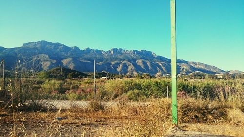 Scenic view of landscape against clear sky