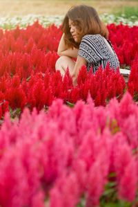 Rear view of girl with red flowering plants
