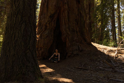 Woman standing by tree trunk in forest