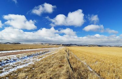 Scenic view of agricultural field against sky