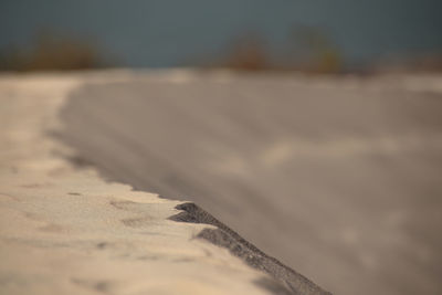 Surface level of sand on beach