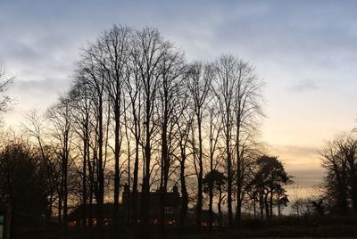 Silhouette bare trees on field against sky at sunset