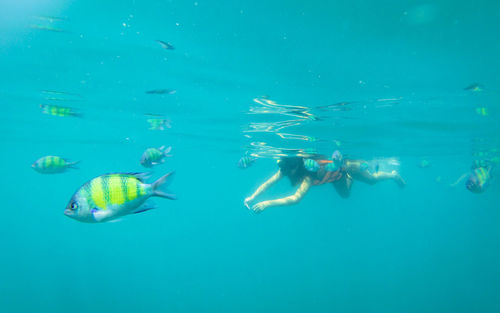 Young woman swimming in sea