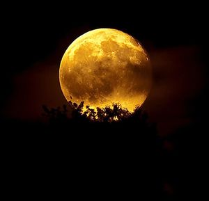 Low angle view of moon in sky