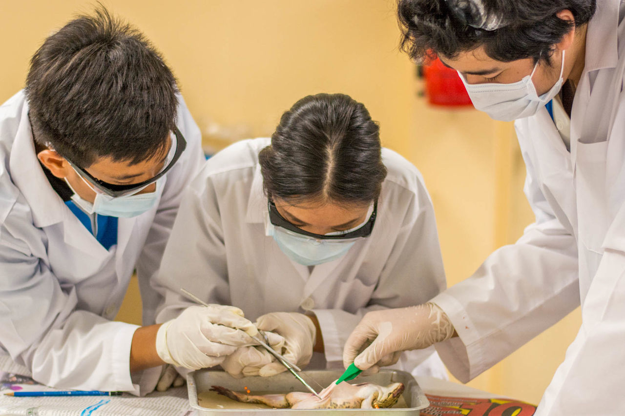 PEOPLE WORKING IN TRADITIONAL CLOTHING